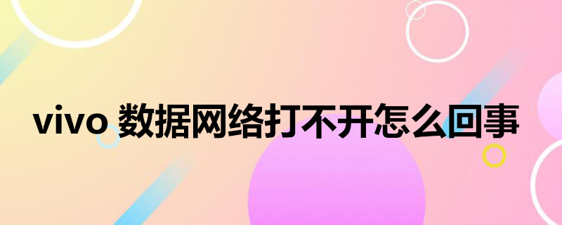 vivo数据网络打不开怎么回事（vivo手机数据网络打不开是怎么回事）