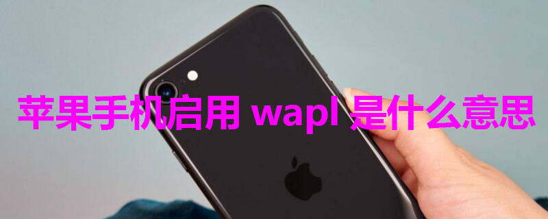 iPhone手机启用wapl是什么意思 iphone中的启用wapi
