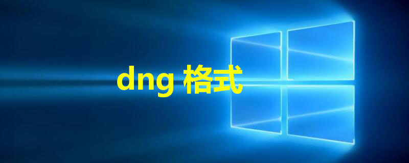 dng格式（iphone dng格式）