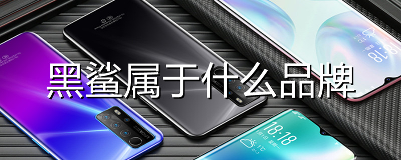 黑鲨属于什么品牌（黑鲨属于什么品牌手机型号）