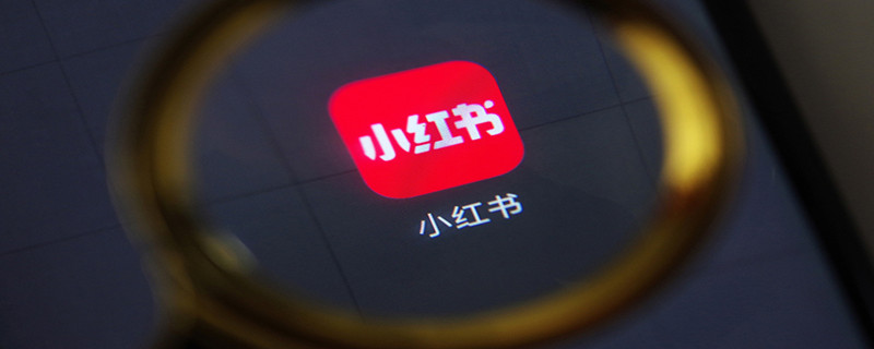 小红书怎么搜索用户 小红书怎么搜索用户的笔记