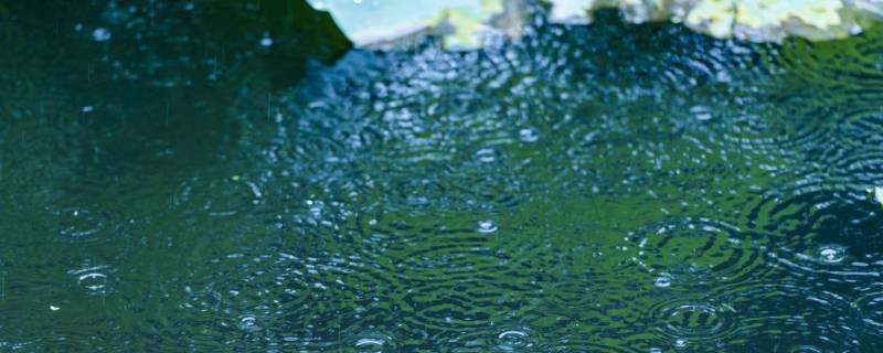雨的特点 雨的特点四字词语
