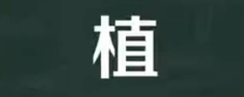 植姓的来源 关于植姓的来源