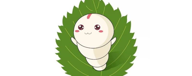 大蚕会吃小蚕吗 大蚕会吃小蚕吗?