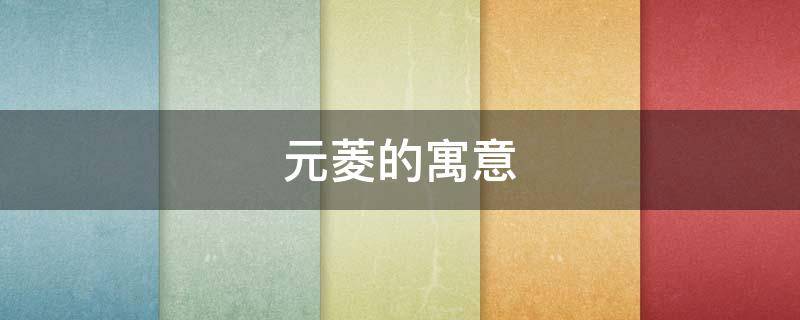 元菱的寓意（元的寓意和象征）