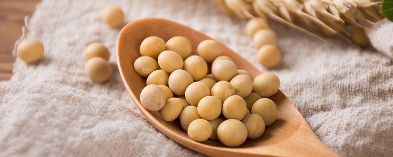 怎么判断黄豆煮没煮熟 为什么黄豆煮不熟