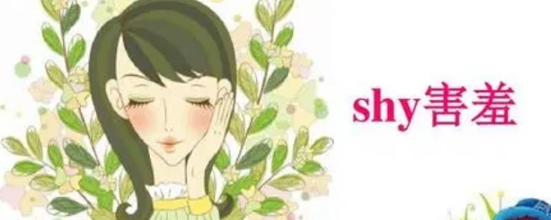 shylie是什么寓意 ShYLie英文名的寓意
