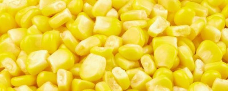 玉米粒怎么做（玉米粒怎么做饼）