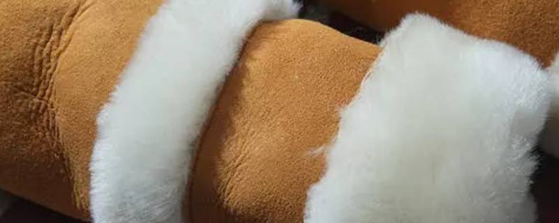 绵羊皮革和绵羊皮区别（绵羊皮革和羊皮革的区别）