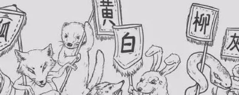 狐黄白柳灰常指的是什么（狐黄白柳灰常指的是什么仙）