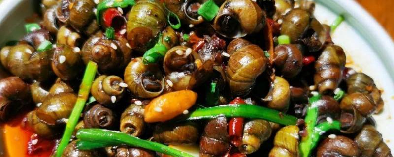 辣螺煮多久（辣螺煮多久才开）