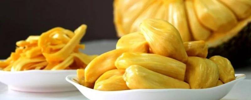 菠萝蜜和榴莲是近亲吗（菠萝蜜和榴莲是不是近亲）