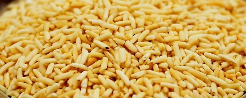 炒米是什么米做的（奶茶里的炒米是什么米做的）