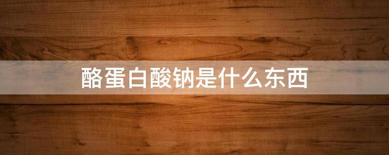酪蛋白酸钠是什么东西（酪蛋白酸钠是蛋白质吗）