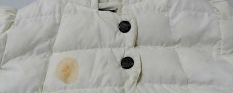 羽绒服被染色了怎么去除 羽绒服被染色了怎么去除长时间