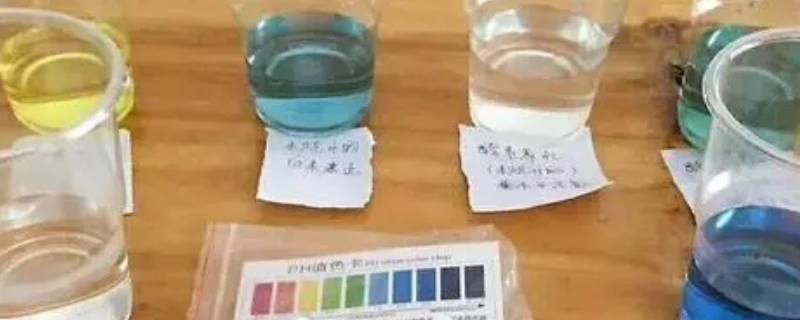碱性水有哪些 碱性食物有哪些