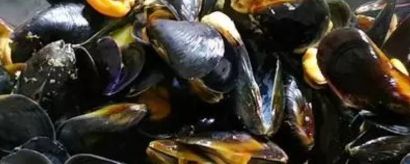 隔夜的海虹还能吃吗 海虹剩了明天能吃吗