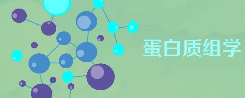 什么叫科学术语 什么叫科学术语呢