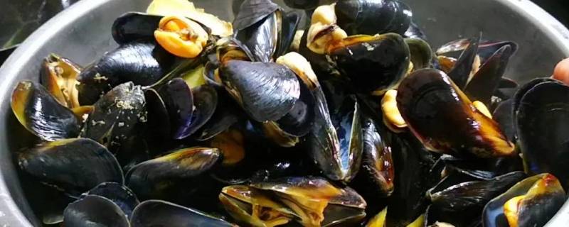 没煮的海虹能存放几天 煮过的海虹能放几天