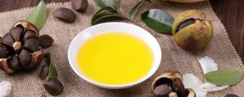 怎么炒茶油（如何炒制油茶窍门）