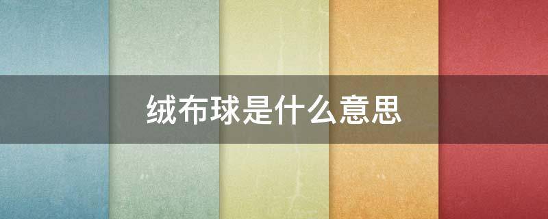 绒布球是什么意思（绒布球是什么意思 贴吧）