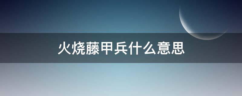 火烧藤甲兵什么意思（火烧藤甲兵什么意思污）