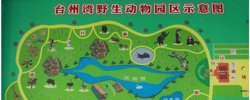 台州动物园在哪里（台州市野生动物园在哪）