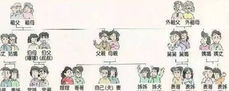 三服之内亲属有哪些（亲戚三服之外）