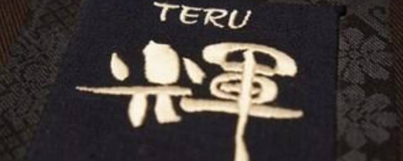 辉字取名的寓意 辉字取名的寓意女孩