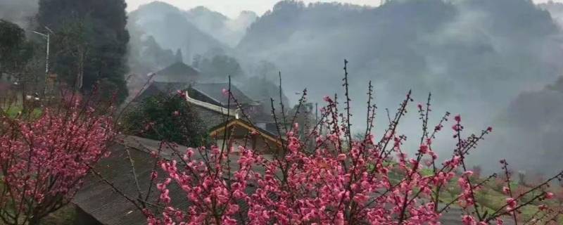 永顺陈家坡到县里有多远（永顺到陈家坡怎么去）