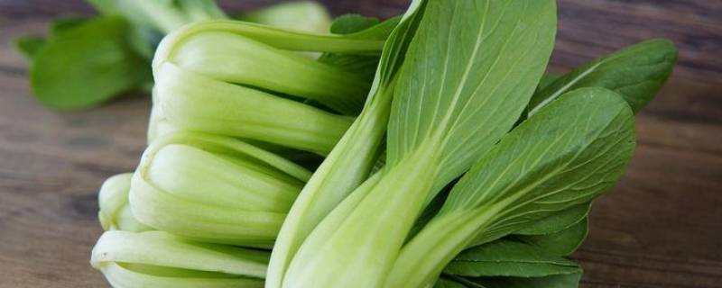 青菜开花了可以吃吗（青菜开花了能吃吗）