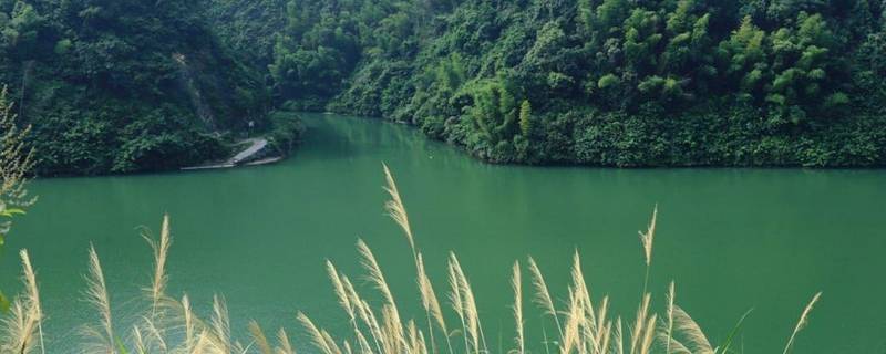 资江发源地（资江河发源地）