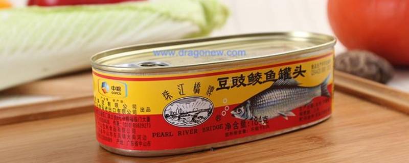 鱼罐头怎么打开 scum金枪鱼罐头怎么打开