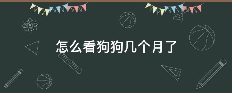 怎么看狗狗几个月了 怎么看看狗狗几个月