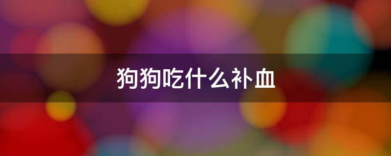 狗狗吃什么补血 狗狗吃什么补血最快