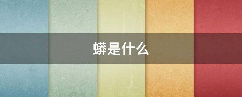 蟒是什么（蟒是什么意思）