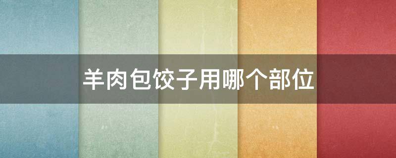 羊肉包饺子用哪个部位（羊肉包饺子用哪个部位肉好）