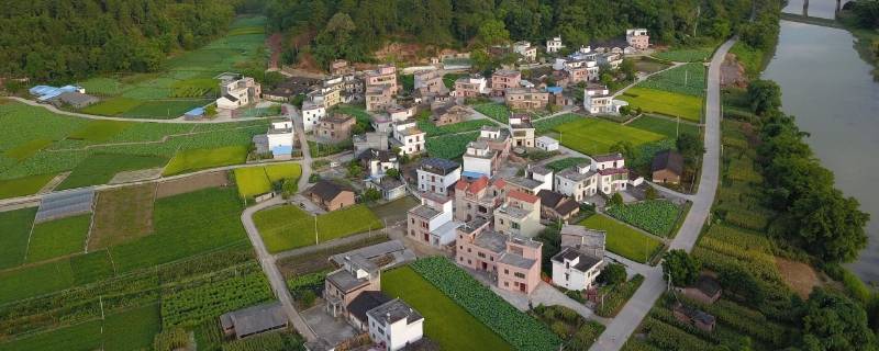 乡村振兴局属于哪个部门 乡村振兴局属于哪个部门主管