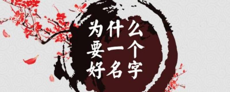 fiona有什么寓意（fiona是什么意思中文翻译）