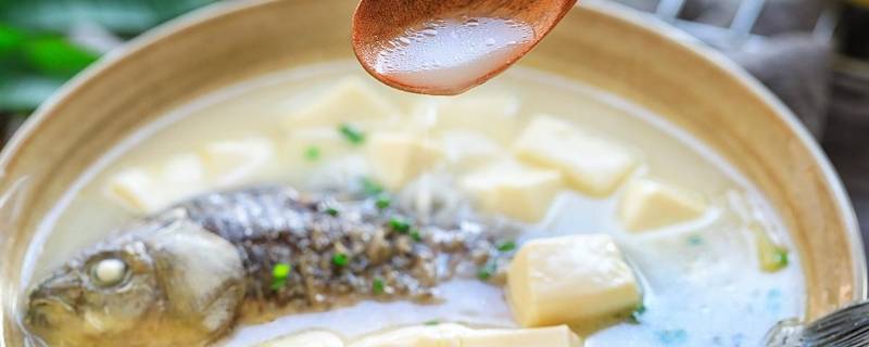 家常鱼炖豆腐怎么做好吃（家常鱼炖豆腐怎么做好吃又简单）