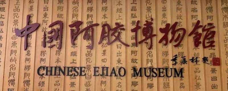 阿胶发源地 东阿阿胶发源地