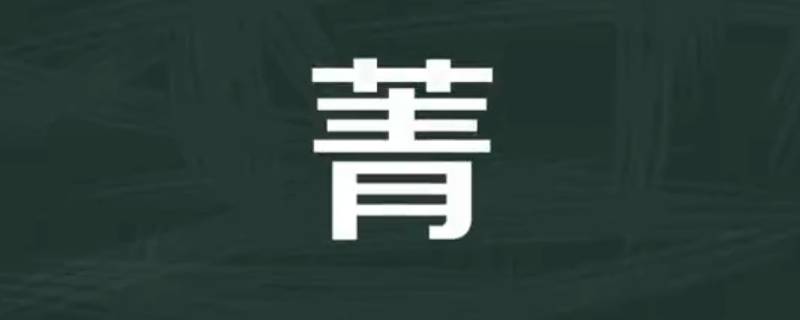 菁怎么读（菁怎么读是多音字吗）