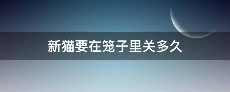 新猫要在笼子里关多久（新猫要在笼子里关多久才能出去）