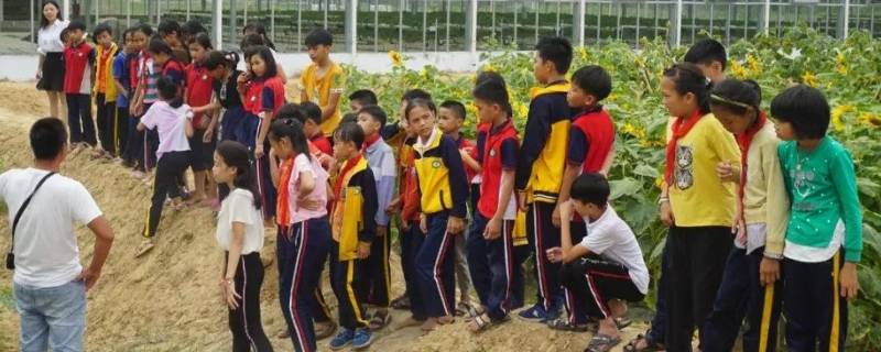 社会实践活动有哪些方面 社会实践活动有哪些方面内容