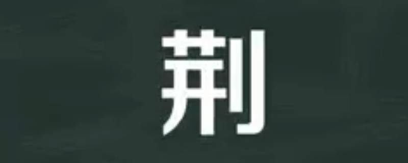 荆怎么读 荆怎么读写