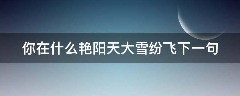 你在什么艳阳天大雪纷飞下一句（你在艳阳里大雪纷飞歌词是什么意思）