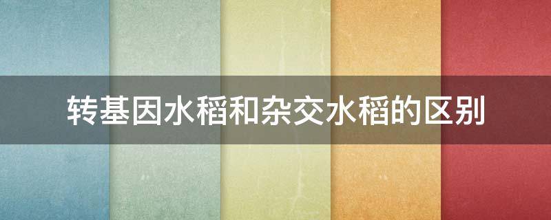 转基因水稻和杂交水稻的区别（转基因水稻和杂交水稻的区别在哪）