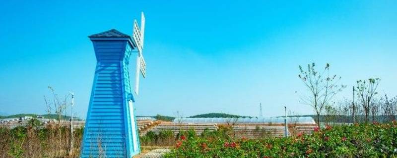 揭西大鹿农业公园在哪里（揭西大鹿农业公园在哪里啊）