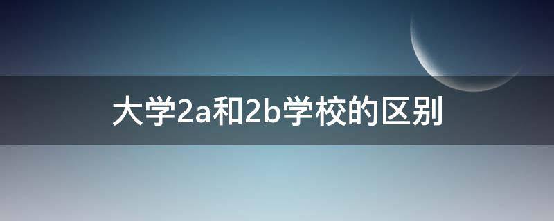 大学2a和2b学校的区别（大学2a和2b学校的区别是什么）