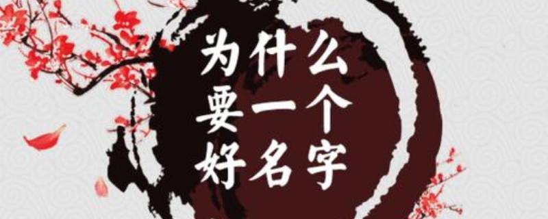 斓在名字的寓意 带斓的名字